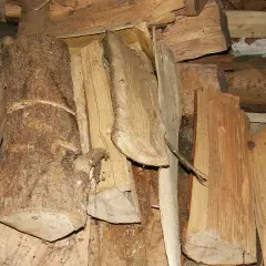 Gros tas de bois empilé, en attente de séchage. Des bûches brutes côtoient des morceaux plus fins, prêts pour le feu.