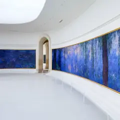 Immersion dans les Nymphéas de Monet au musée de l'Orangerie, un havre de paix à deux pas du métro.