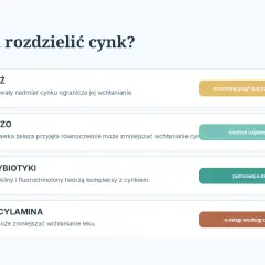 Z czym nie łączyć cynku: miedzi, żelaza, antybiotyków i penicylaminy. Informacje o interakcjach.