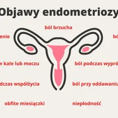 Objawy endometriozy: ból brzucha, zmęczenie, krew w kale/moczu, ból głowy, ból podczas wypróżniania, ból przy oddawaniu moczu, ból podczas współżycia, obfite miesiączki, niepłodność.