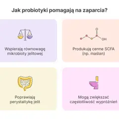 Probiotyk na zaparcia: wspiera mikrobiotę, produkuje SCFA, poprawia perystaltykę jelit i może zwiększać częstotliwość wypróżnień.