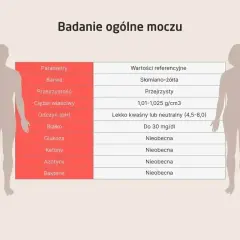 Tabela badań ogólnych moczu. Wartość "Nieobecna" przy ketonach sugeruje brak ciał ketonowych w moczu.