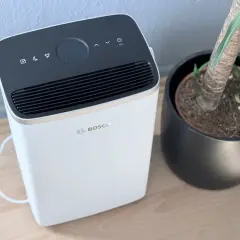 Bosch Dry 4000 Luftentfeuchter neben einer Topfpflanze auf Holzboden.