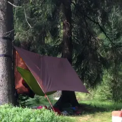 Zadaszenie namiotu z zielonej i brązowej plandeki, zawieszone między drzewami w lesie. Pod nim leżą śpiwory i plecaki.