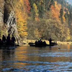 Spływ tratwami po Dunajcu, jesienne barwy gór i skalne ściany – to jedne z najpiękniejszych sromowce wyżne atrakcje.