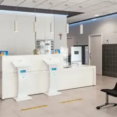 Hospital veterinario de la universidad católica de valencia: servicios y especialidades para tus mascotas