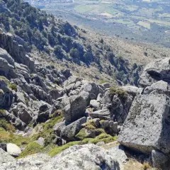 Rocas y vegetación en el cancho del águila, con un valle verde y camino serpenteante al fondo.