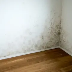 Esquina de habitación con moho en la pared, indicando la necesidad de saber como aislar una pared de la humedad.