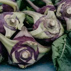 Kupka fioletowo-zielonych kalarep. Czy pies może jeść kalarepę? Tak, w umiarkowanych ilościach.