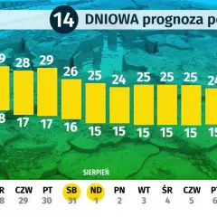 Ile stopni ma Bałtyk? Sprawdź, kiedy i gdzie woda jest najcieplejsza