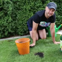 Skuteczne metody na perz w trawniku - jak go zwalczyć raz na zawsze