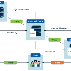 Diagrama de cadena de confianza: Root CA certifica Intermediate CA, que a su vez certifica End point. Usuarios confían en End point.