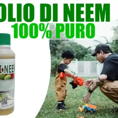 Olio di neem 100% puro, utile per la cura delle piante e per proteggere la casa. Un padre gioca con il suo bambino in giardino.