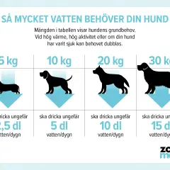 Tabell visar hur mycket ska en hund dricka per dygn baserat på vikt. En hund på 5 kg behöver ca 2,5 dl, 10 kg ca 5 dl, 20 kg ca 10 dl och 30 kg ca 15 dl.