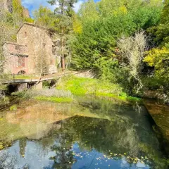 Antigua edificación de piedra junto a un río cristalino, rodeada de frondosa vegetación otoñal. Un puente de madera cruza el agua, conectando con las **fonts del Llobregat**.