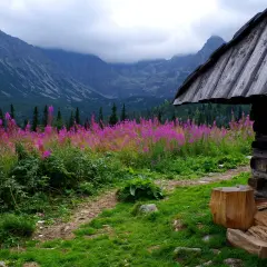 Drewniana chata w górach, pole wierzbówki kiprzycy i skaliste szczyty. Idealne miejsce, by zastanowić się, ile trwa majówka.