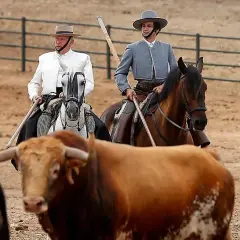 Dos jinetes con trajes tradicionales supervisan el ganado en la ganadería Torrestrella. Un toro de lidia se acerca al primer plano.