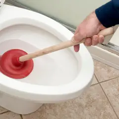 Main tenant utilise une ventouse pour tenter, en vain, de déboucher les toilettes.