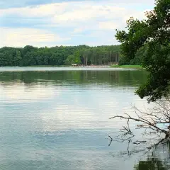 Spokojne mirim jeziora odbija zielony las i niebo. Na brzegu plaża z ludźmi i drzewa.