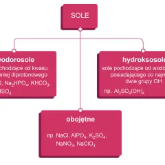 Schemat klasyfikacji soli: wodorosole, hydroksosole, obojętne.