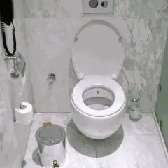 Biała miska WC z otwartą klapą, obok kosz na śmieci i szczotka. W tle uchwyt na papier toaletowy i telefon.