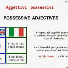 Impara quali sono gli aggettivi possessivi in inglese: "my" e "your", con esempi e traduzioni.