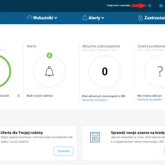 Panel BIK z informacjami o statusie: brak opóźnień, alertów, zobowiązań i oceny punktowej.