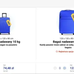 Ryanair bagaż rejestrowany 20 kg - co naprawdę można zabrać?