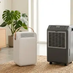 Dos tipos de deshumidificador, uno blanco y portátil, otro gris con ruedas, en una sala de estar moderna.
