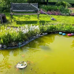 Un étang verdâtre, peut-être à cause d'algues, avec des poissons rouges, des nénuphars et des galets colorés. Un banc et un lampadaire ornent le jardin.