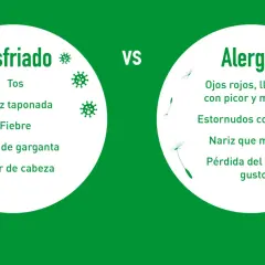 Compara síntomas: el resfriado puede causar fiebre, pero la alergia también. Ojos llorosos, estornudos y picor son comunes en alergias.