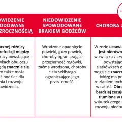 Obraz przedstawia przyczyny niedowidzenia: różnowzroczność, brak bodźców i zez. Leniwe oko może być wynikiem tych schorzeń.