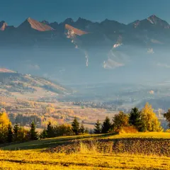 Jesienny krajobraz z widokiem na Tatry, mgła otula doliny, a złote pola i drzewa tworzą malowniczą scenerię w okolicach Zakopanego i Niedzicy.