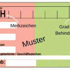 Ein Muster eines Schwerbehindertenausweises mit den Merkzeichen G und H sowie dem Grad der Behinderung (GdB) 100.