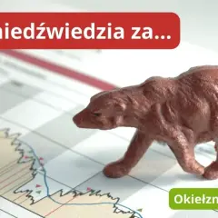 Belgijska giełda: najważniejsze informacje o rynku akcji BEL 20