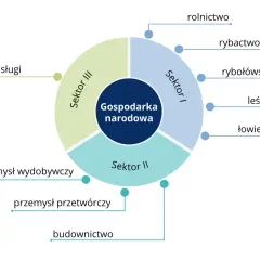 Diagram przedstawia strukturę gospodarki narodowej, dzieląc ją na Sektor I (rolnictwo, rybactwo, rybołówstwo, leśnictwo, łowiectwo), Sektor II (przemysł wydobywczy, przetwórczy, budownictwo) i Sektor III (usługi).