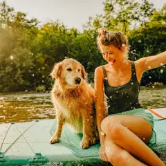 Radosne wczasy z psem na desce SUP. Dziewczyna i jej złoty retriever chlapią się wodą w słoneczny dzień.