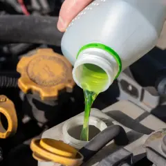 Main verte versée dans le réservoir, assurant le bon niveau liquide de refroidissement du moteur.
