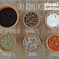 Sześć doniczek z różnymi składnikami do przygotowania idealnej ziemi do kaktusów: ziemia ogrodnicza, keramzyt, styropian, piasek, żwirek i cegła.