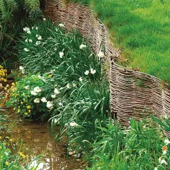 Plantes de berges de rivières en fleurs, jonquilles et petites fleurs jaunes, bordées par une tresse de bois.