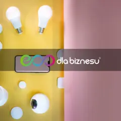 Inteligentne żarówki, głośnik, wtyczka i telefon. Nowoczesna energia elektryczna jednostka dla domu i biznesu.