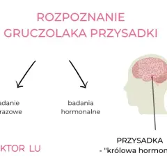 Gruczolak przysadki a psychika: objawy, leczenie, wsparcie