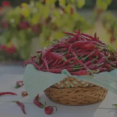 Ein Korb voller leuchtend roter Peperoncini, die für ihre Schärfe bekannt sind. Einige liegen verstreut auf dem Tisch.