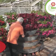 Kwietnik kaskadowy DIY: Zbuduj go sam krok po kroku i zachwyć zielenią!