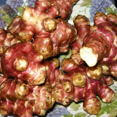 Topinambur appena raccolti, con la loro buccia rossastra e nodosa, pronti per essere cucinati.