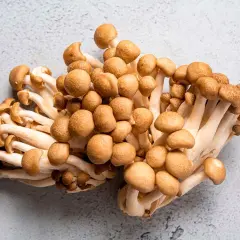 Racimos de setas shimeji de color marrón claro con tallos blancos, listos para ser cocinados.