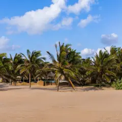 Piękne kenia plaże z palmami kołyszącymi się na wietrze. Słońce ogrzewa złoty piasek, a błękitne niebo z białymi chmurami zaprasza do odpoczynku.