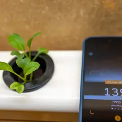 En liten planta växer i en kruka bredvid en mobil som mäter ljusintensitet. Skärmen visar 139 PPFD.