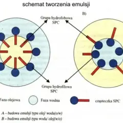 Mechanizm prania chemia: jak detergenty skutecznie usuwają brud