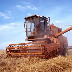  Kombajn Bizon model - najpopularniejszy model w Polsce | Kliknij i przeczytaj więcej